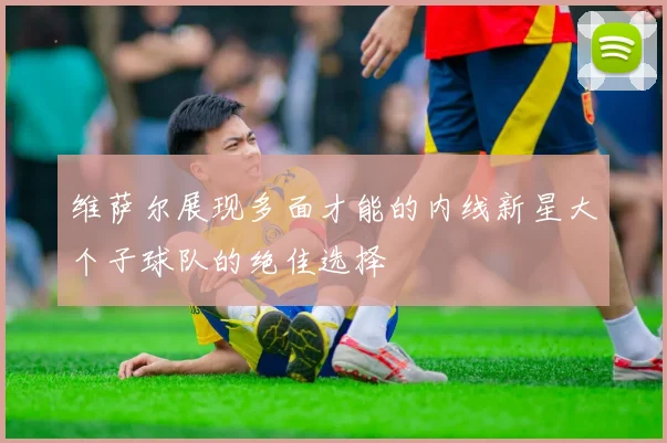 维萨尔展现多面才能的内线新星大个子球队的绝佳选择